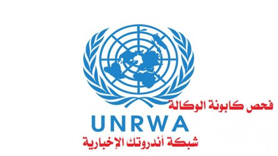 رابط تسجيل مساعدات الأونروا 2026 | تحديث بيانات اللاجئين عبر منصة UNRWA الرسمية